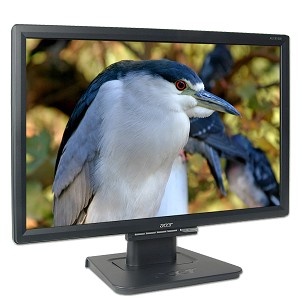 Acer AL1916 LCD Monitor Rental