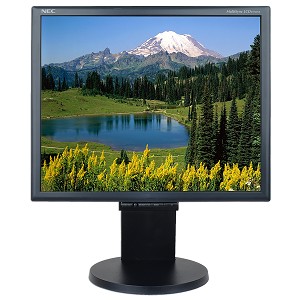 LCD1970NX-monitor-rental-NEC